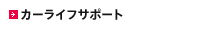 �J�[���C�t�T�|�[�g