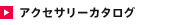 �A�N�Z�T���[�J�^���O
