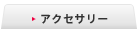 �A�N�Z�T���[