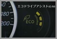 ��R��̔閧�@�G�R�T�|�[�g