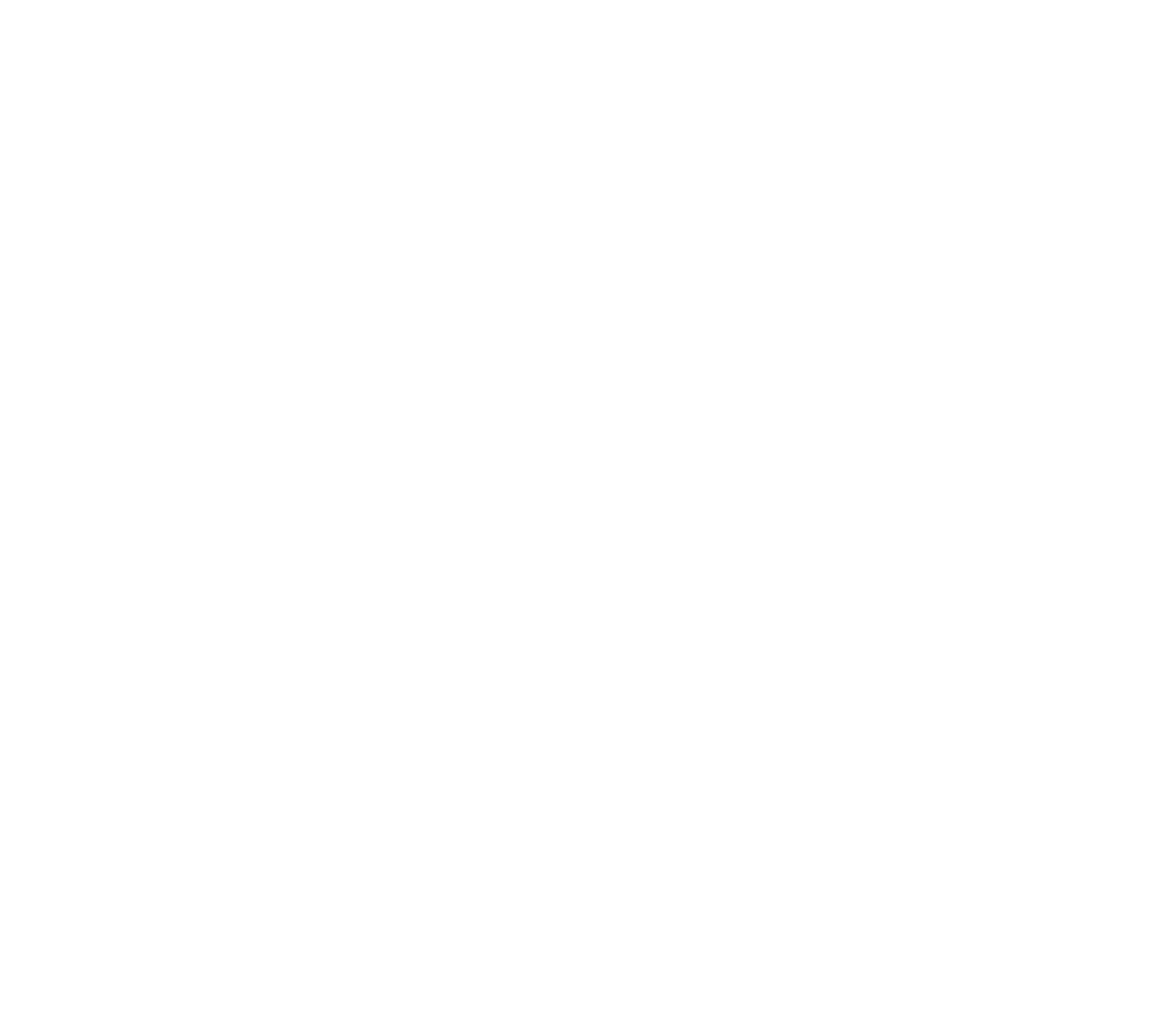 EV