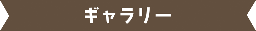 ギャラリー