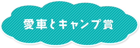 愛車とキャンプ賞