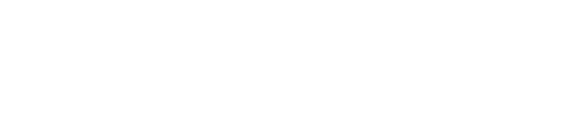 DELICA MINI SNOWSURVIVOR