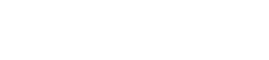 DELICA D:5 SNOWSURVIVOR