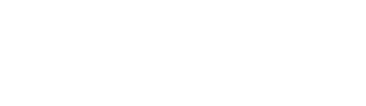 DELICA MINI x coleman