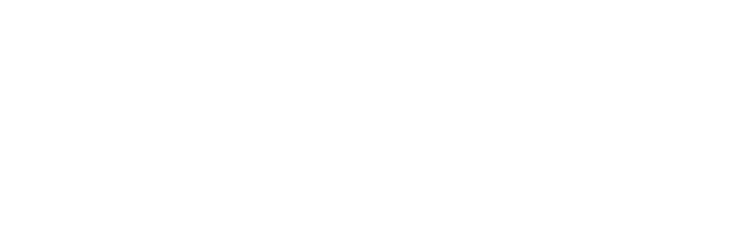 DELICA MINI x coleman