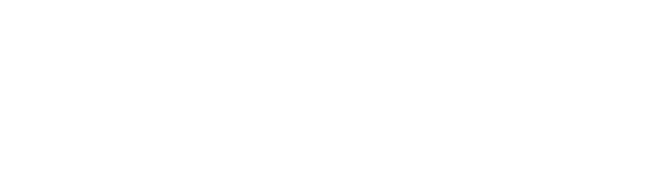 DELICA MINI SNOWSURVIVOR