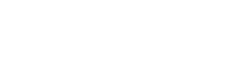 DELICA MINI SNOWSURVIVOR