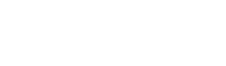 DELICA D:5 SNOWSURVIVOR