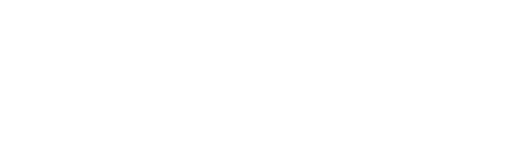 DELICA D:5 SNOWSURVIVOR