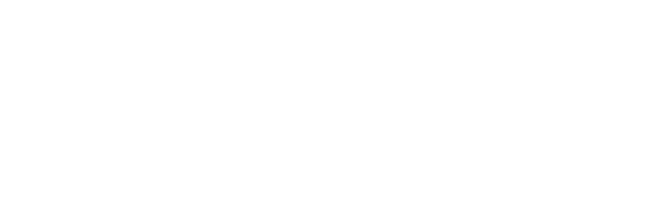 DELICA MINI x coleman