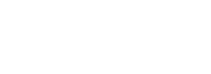 DELICA MINI SNOWSURVIVOR