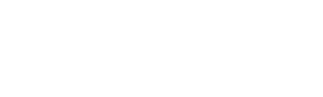 DELICA MINI SNOWSURVIVOR