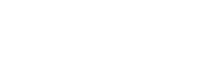 DELICA D:5 SNOWSURVIVOR