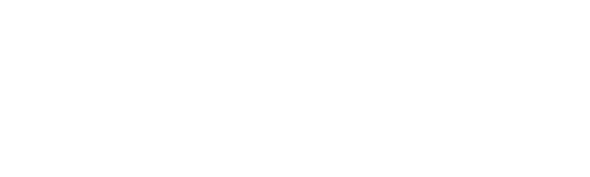 DELICA D:5 SNOWSURVIVOR