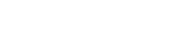 DELICA MINI SNOW SURVIVER