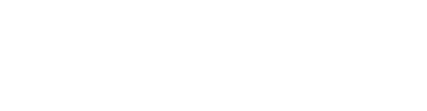 DELICA D:5 SNOW SURVIVER