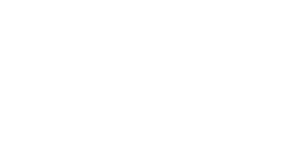 専用エンジンフードエンブレム