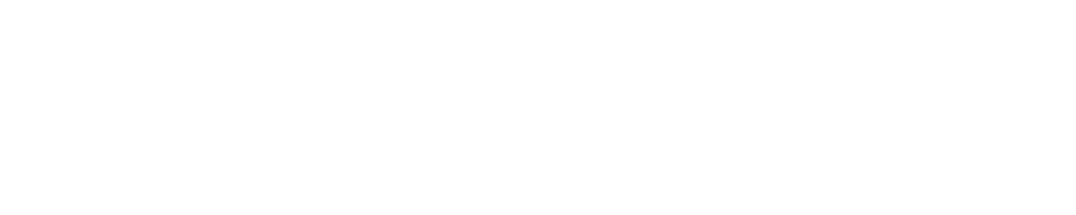 Plan D #1 森の中にプラネタリウムをつくろう。