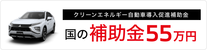 国の補助金55万円