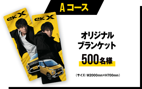 Aコース オリジナルブランケット 500名様 (サイズ:W2000mm×H700mm)