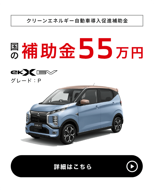 国の補助金55万円