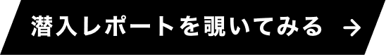 潜入レポートを覗いてみる