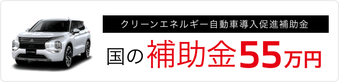 国の補助金55万円