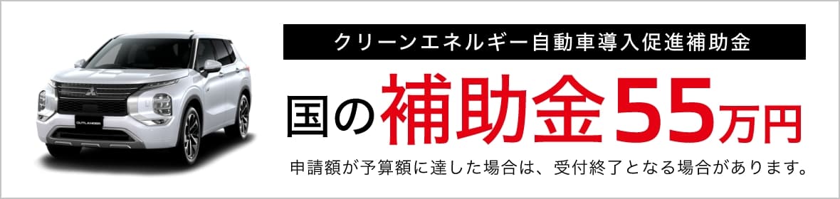 国の補助金55万円