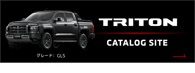 TRITON CATALOG SITE