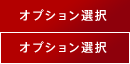 オプション選択