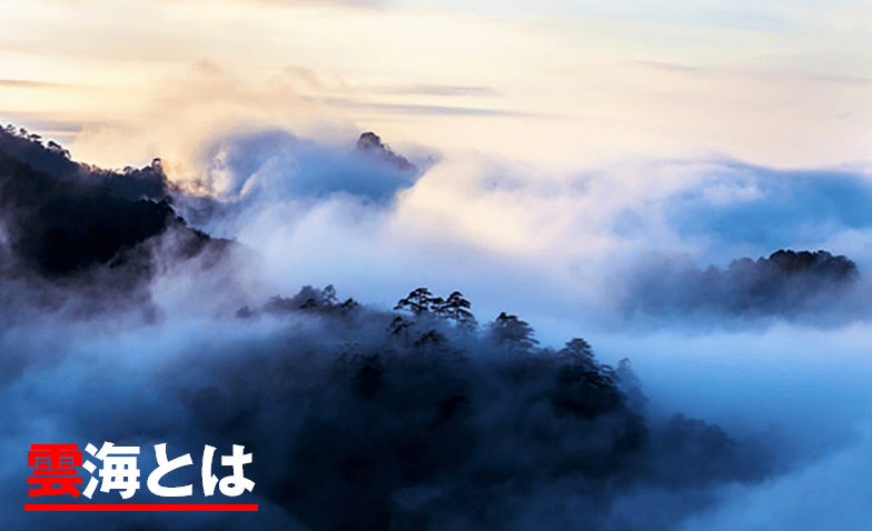 雲海とは
