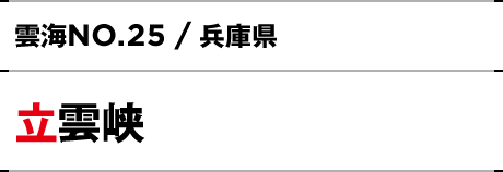 NO.25 / 兵庫県 立雲峡